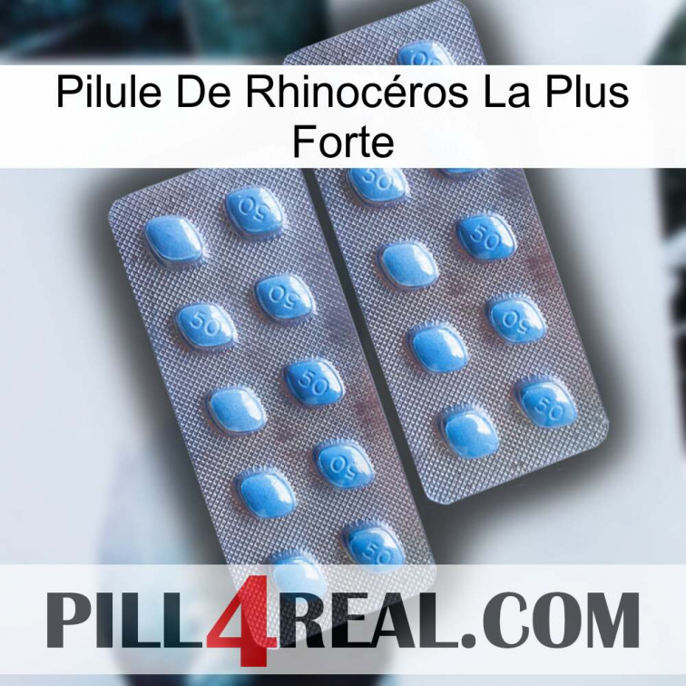 Pilule De Rhinocéros La Plus Forte viagra4
